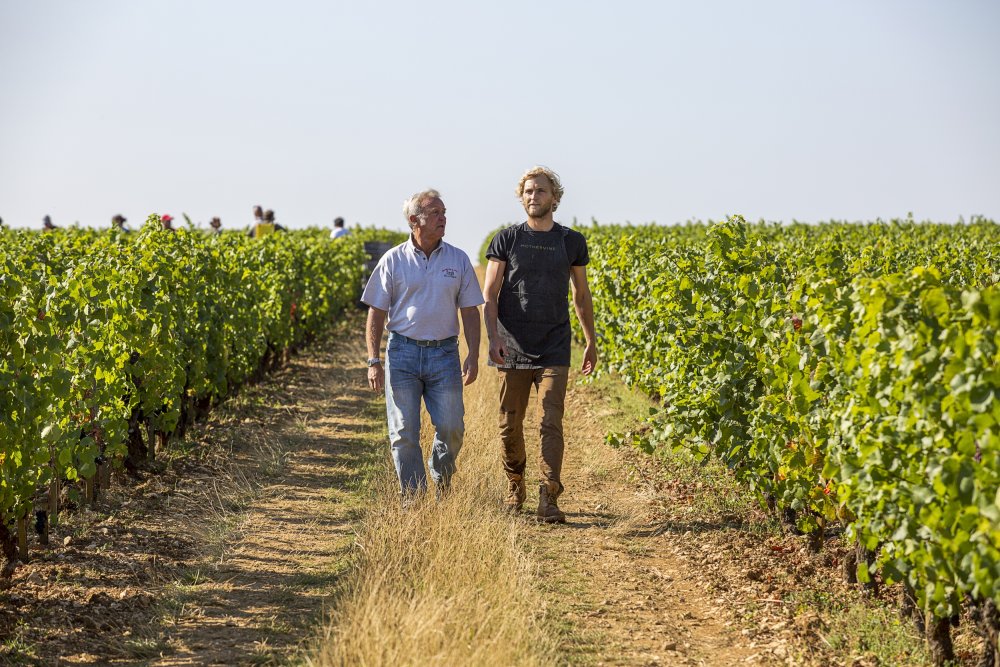 Château de la Tour & Domaine Francois Labet