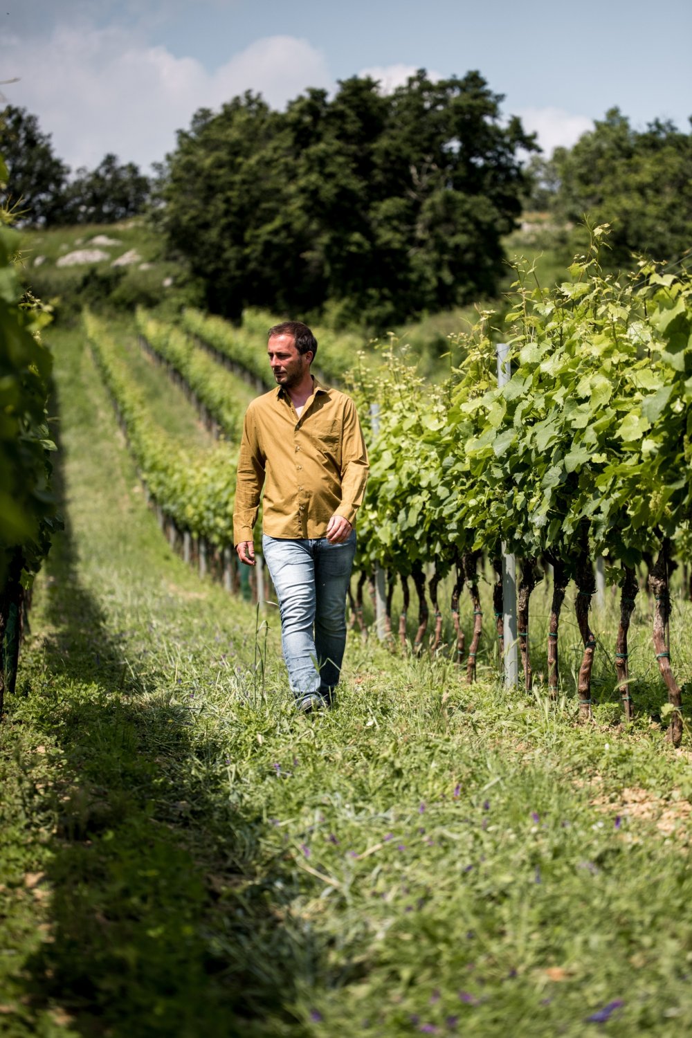 Weingut Prieler zu Gast bei Wein am Berg 2025