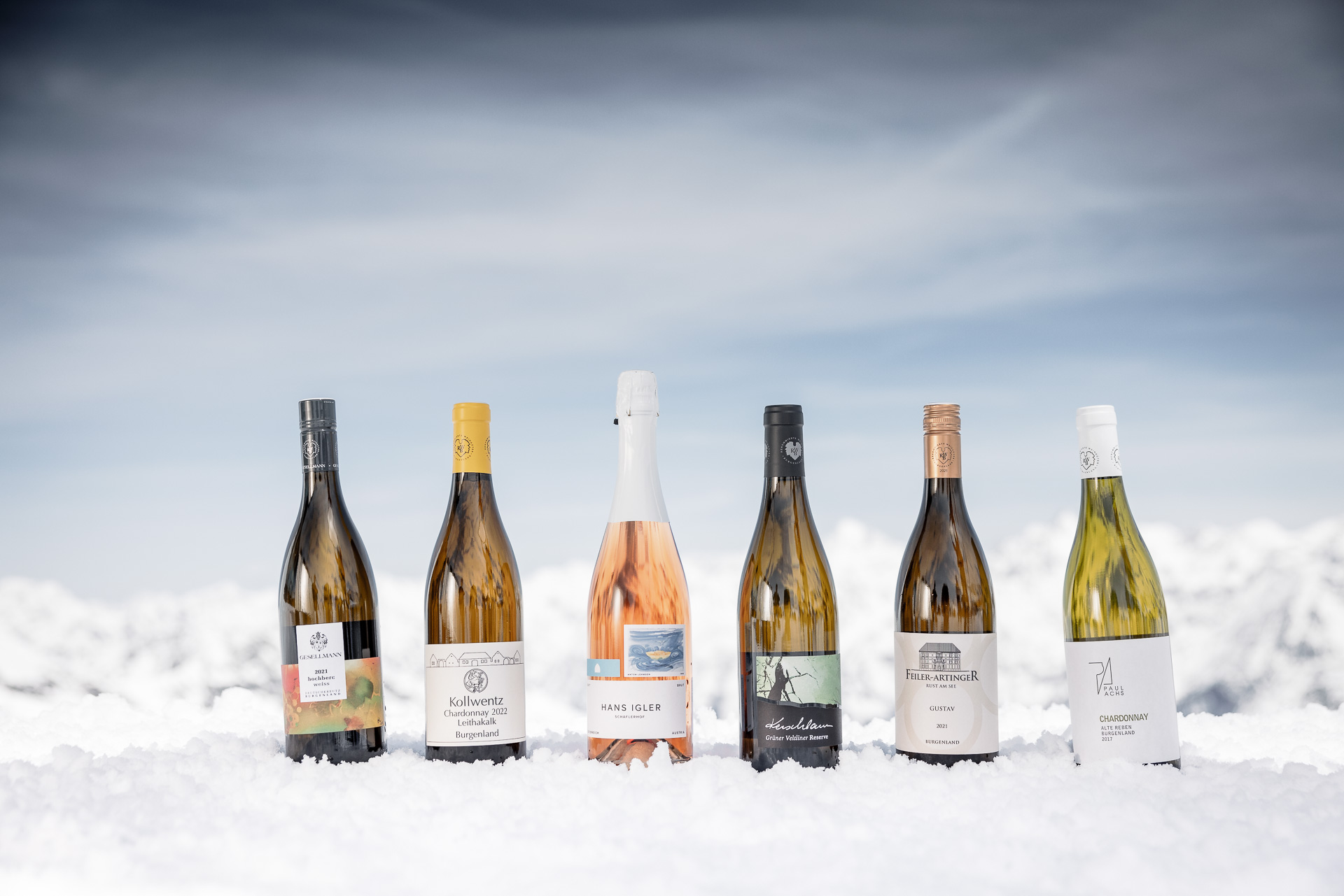 TOP-Winzer aus aller Welt bei Wein am Berg